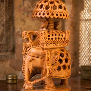 Ambawari Jali Elephant
